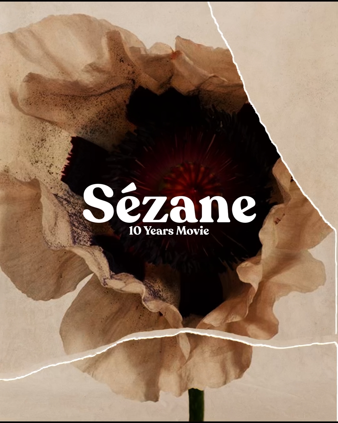 Sézane – 10 Years